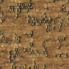 MT（マスタード）